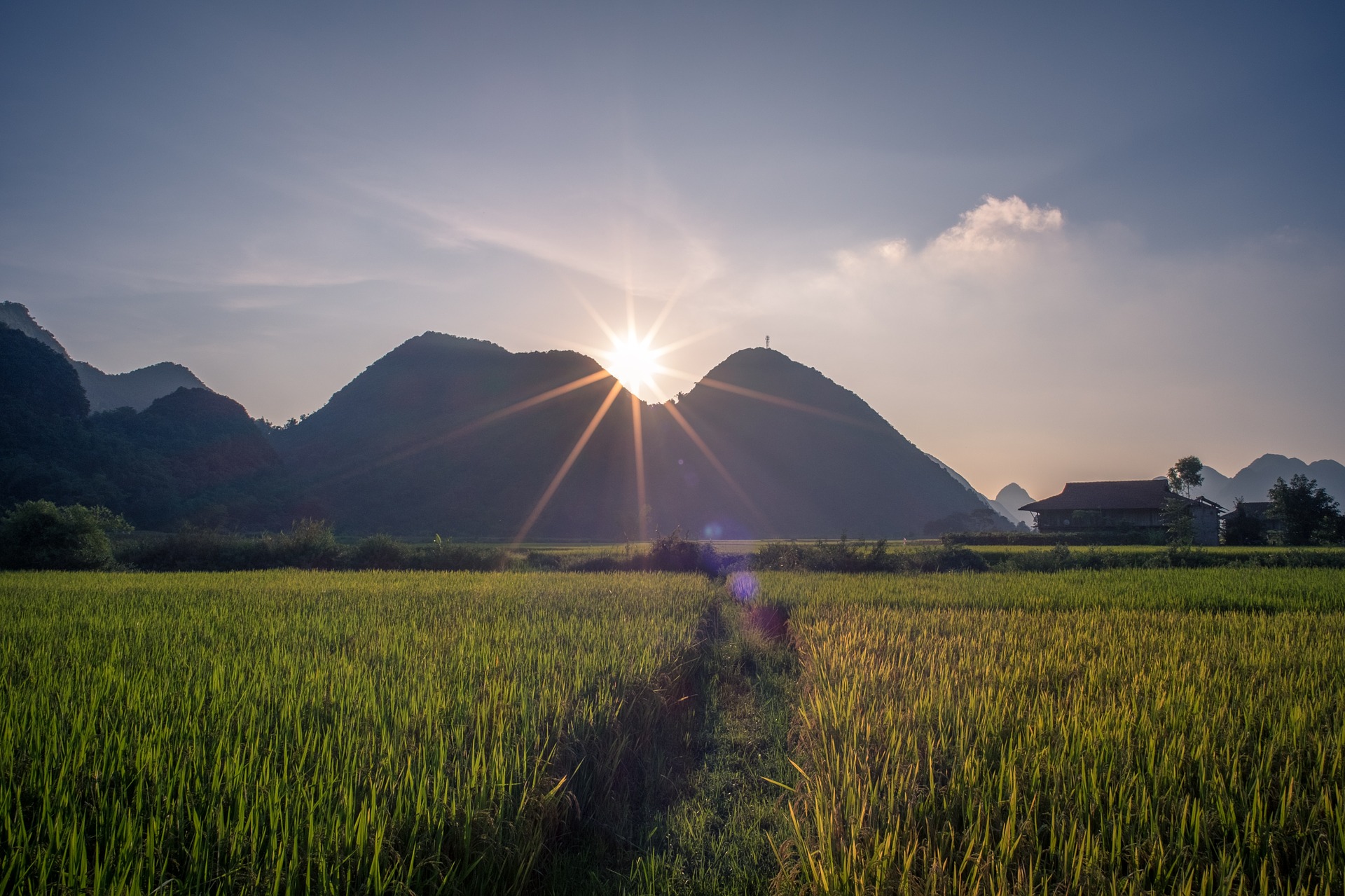 What Expats Must Know Before Moving To Laos